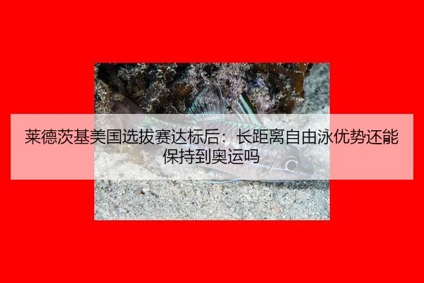 莱德茨基美国选拔赛达标后：长距离自由泳优势还能保持到奥运吗